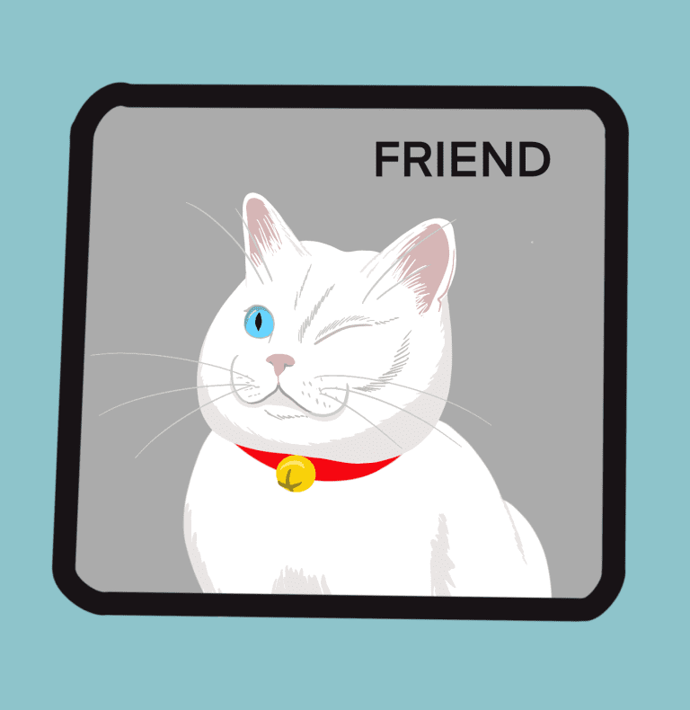 FriendCon Patch
